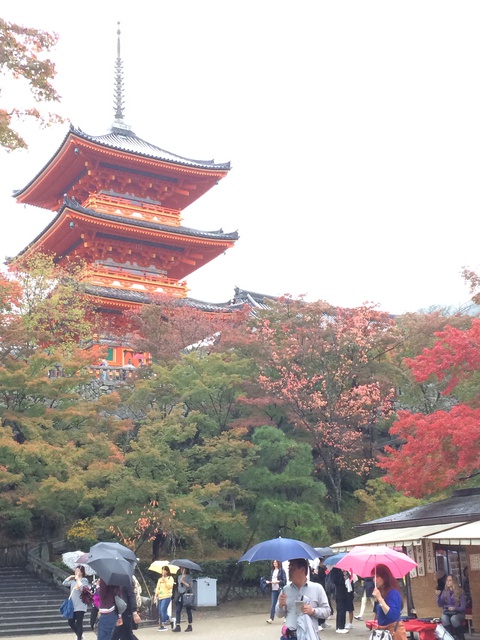 満喫！秋の京都