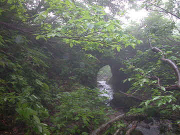 渋海川の源流探検