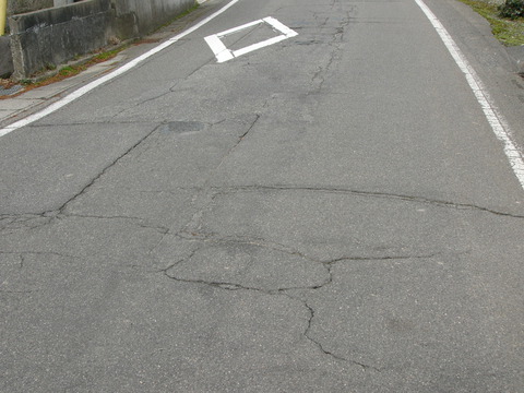 新潟における「能登半島地震」の被害