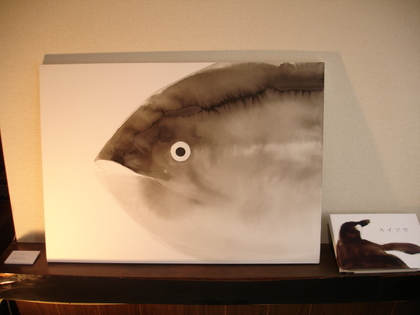 展示作品