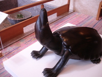 記憶　－ 展示作品紹介Ⅱ －