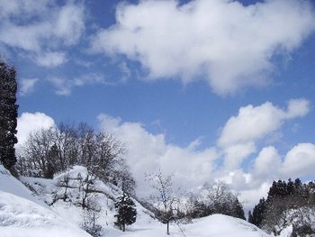冬の青空