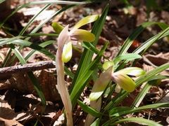 まだまだ花盛り!