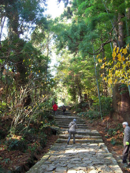 世界遺産に挑む!和歌山編 その3
