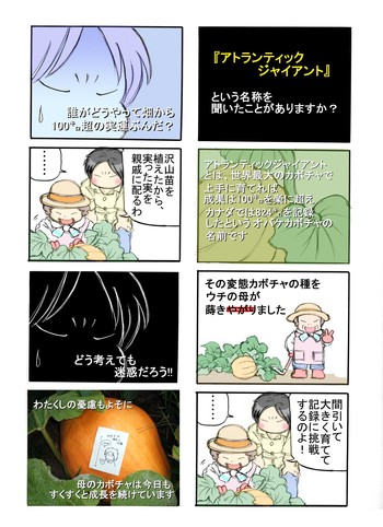8月が暑すぎて