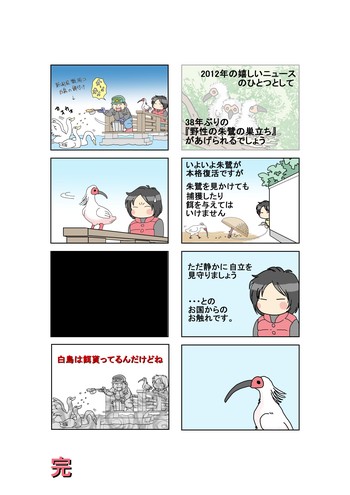 熊でまくり